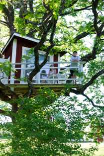 Дома на деревьях: вершины счастья и детского восторга