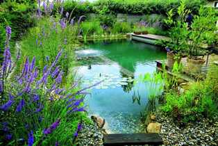 Как создать садовое озеро или пруд с рыбами и водными растениями