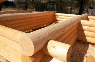 Как выбрать идеальную древесину для строительства своего дома
