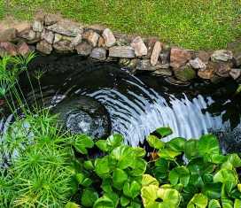 Садовые водоемы: как создать уникальный уголок природы на вашем участке