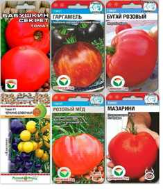 Сорта томатов: от классики до экзотики