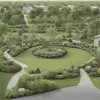 Кирказон аристолохия с крупными листьями для вашего сада