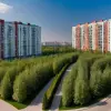 Как выбрать идеальный участок для строительства коттеджа